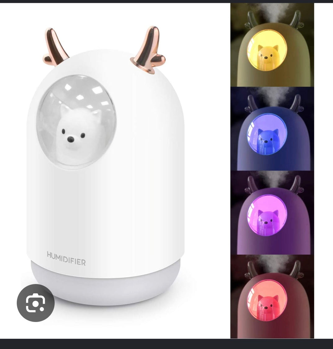 Mini humidificateur et veilleuse
