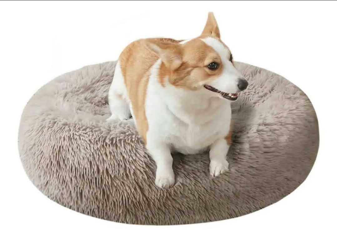 Lit rond pour petit/moyen chien et/ou chat